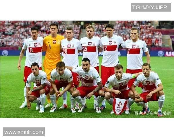 俄罗斯与波兰男篮对决前瞻分析及胜负预测详解